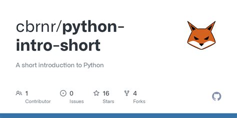 Python Intro Code に対する画像結果
