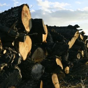 Python Script Logo に対する画像結果