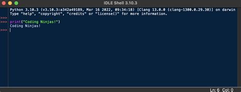 Python Coding Screen に対する画像結果