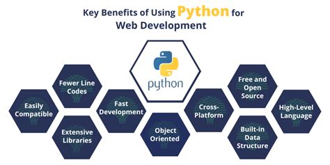 Image result for Python Applications Software Development Process