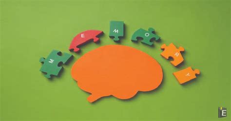 Image result for Classification Questions Examples