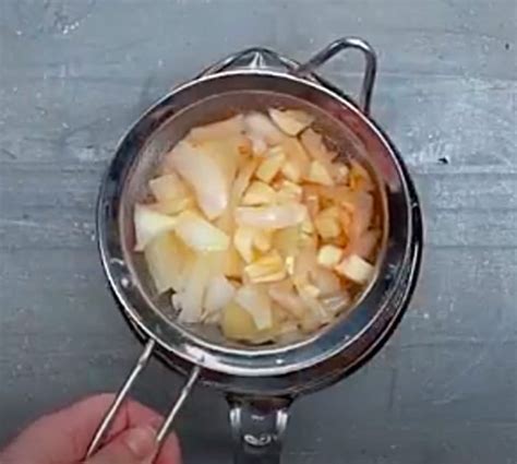 Image result for Using Onion to Make Insect Spray