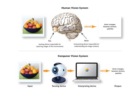 Afbeeldingsresultaten voor Computer Vision Examples