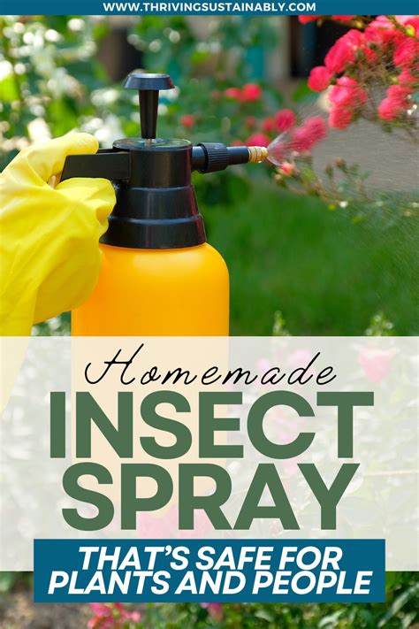 Image result for Using Onion to Make Insect Spray