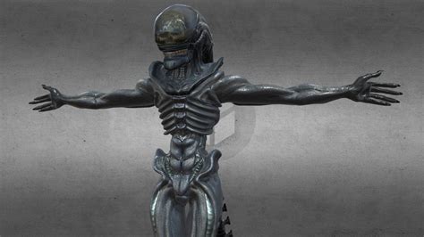 Image result for Alien Xenomorph Model