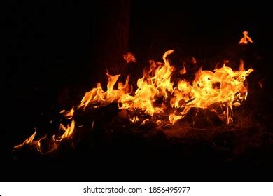 Long Flames Video に対する画像結果