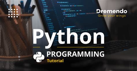 Image result for Python Coding Image for Tutorial
