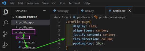 User Profile Display Project Using Python に対する画像結果