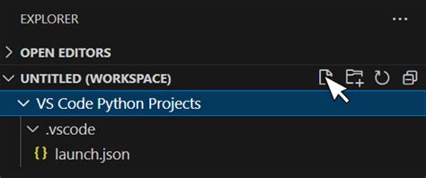 Toradh íomhá ar Writing and Executing First Python Program