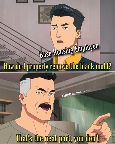 Afbeeldingsresultaten voor USMC Boot Camp