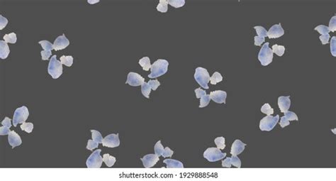 Afbeeldingsresultaten voor Simple Random Sample Example