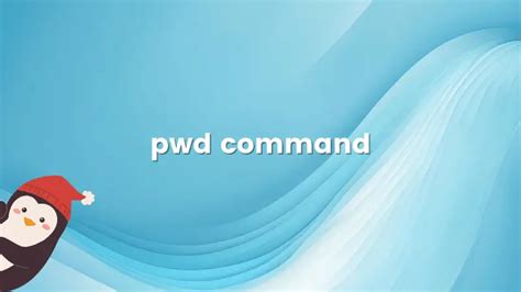 Image result for Pwd Command vs Code Python