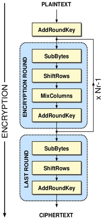 Image result for AES Algorithm Input Array