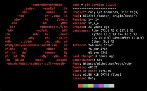 Ruby Programming Language-க்கான படிம முடிவு