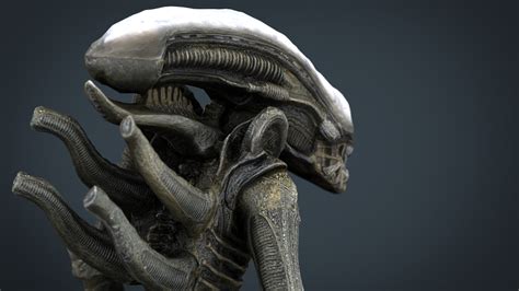 Image result for Alien Xenomorph Model