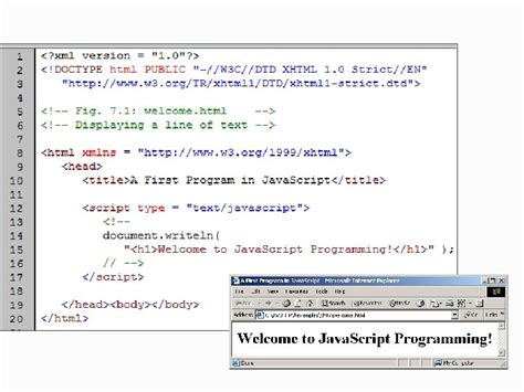 Image result for Java Coding Script