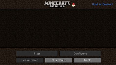 Toradh íomhá ar Minecraft Java Options Menu