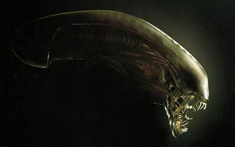 Image result for Alien FR