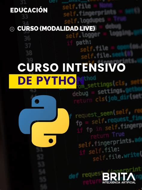 Toradh íomhá ar Curso Python PDF