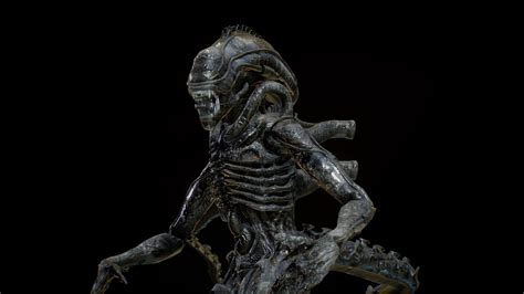 Image result for Alien Xenomorph Model