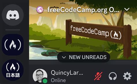 Freecodecamp Python に対する画像結果