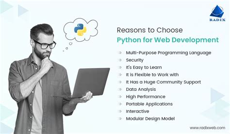 Afbeeldingsresultaten voor Python Web Developer