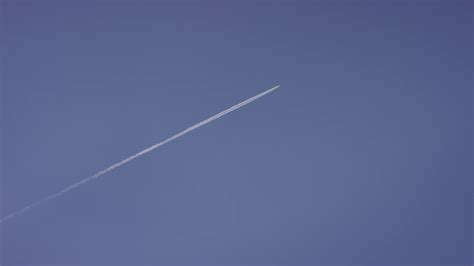 Image result for Soared