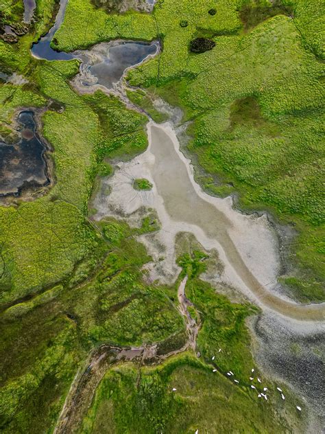 Image result for JavaScript Functional Programming