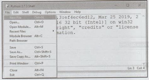 Image result for Python Script Mode