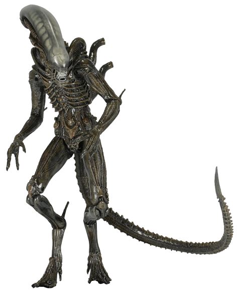 Image result for Alien From Alien Isolation Model