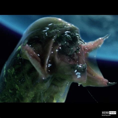 Alien vs Predator Predalien に対する画像結果