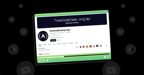 Image result for Freecodecamp Java Tutorial