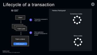 Image result for Hashgraph Consensus Tutorial