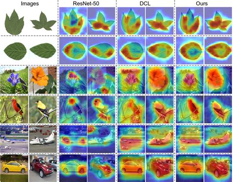 Image result for Feature Map Computer Vision