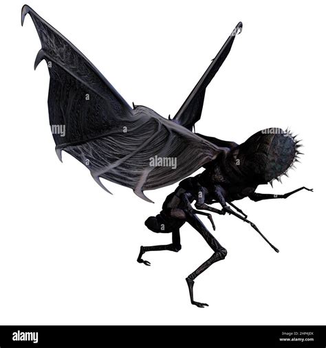 Alien Fantasy Insects に対する画像結果
