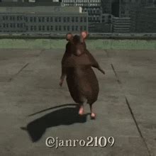 Image result for Dancing Rat Meme