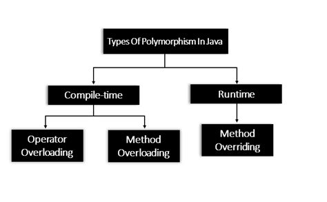 Image result for Polymorphism Java Code Line Example