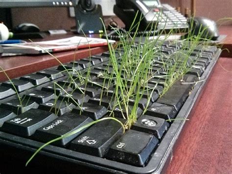 Image result for Computer Science Pranks