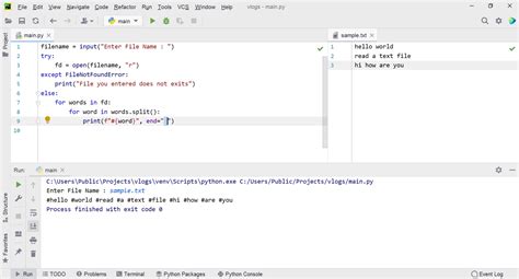 Image result for Python Read Text File Example
