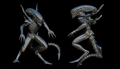 Image result for Alien Xenomorph Model