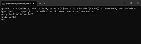 How to Write Python Code に対する画像結果