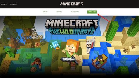 Image result for How to Get Minecraft Java for Free