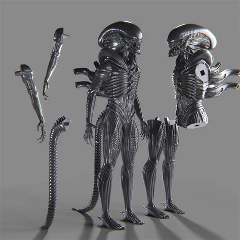 Image result for Alien Xenomorph Model