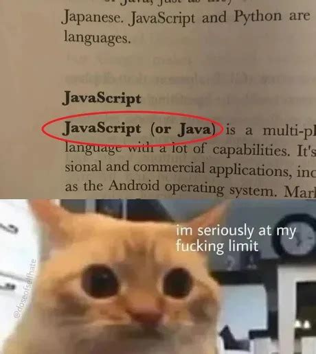 Image result for JavaScript Simba Meme