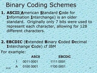 Image result for Computer Coding Scheme