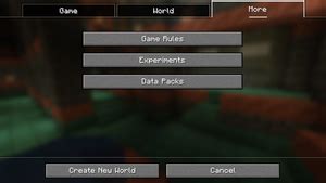 Image result for Minecraft Java Options Menu