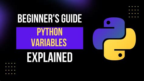 Image result for Python Programming Code Explained
