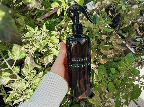 Toradh íomhá ar Best Homemade Aphid Spray