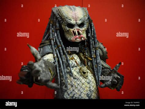 Image result for Alien vs Predator Face Off