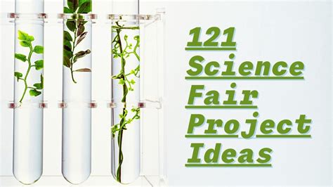 Toradh íomhá ar Science Fair Project Introduction Example